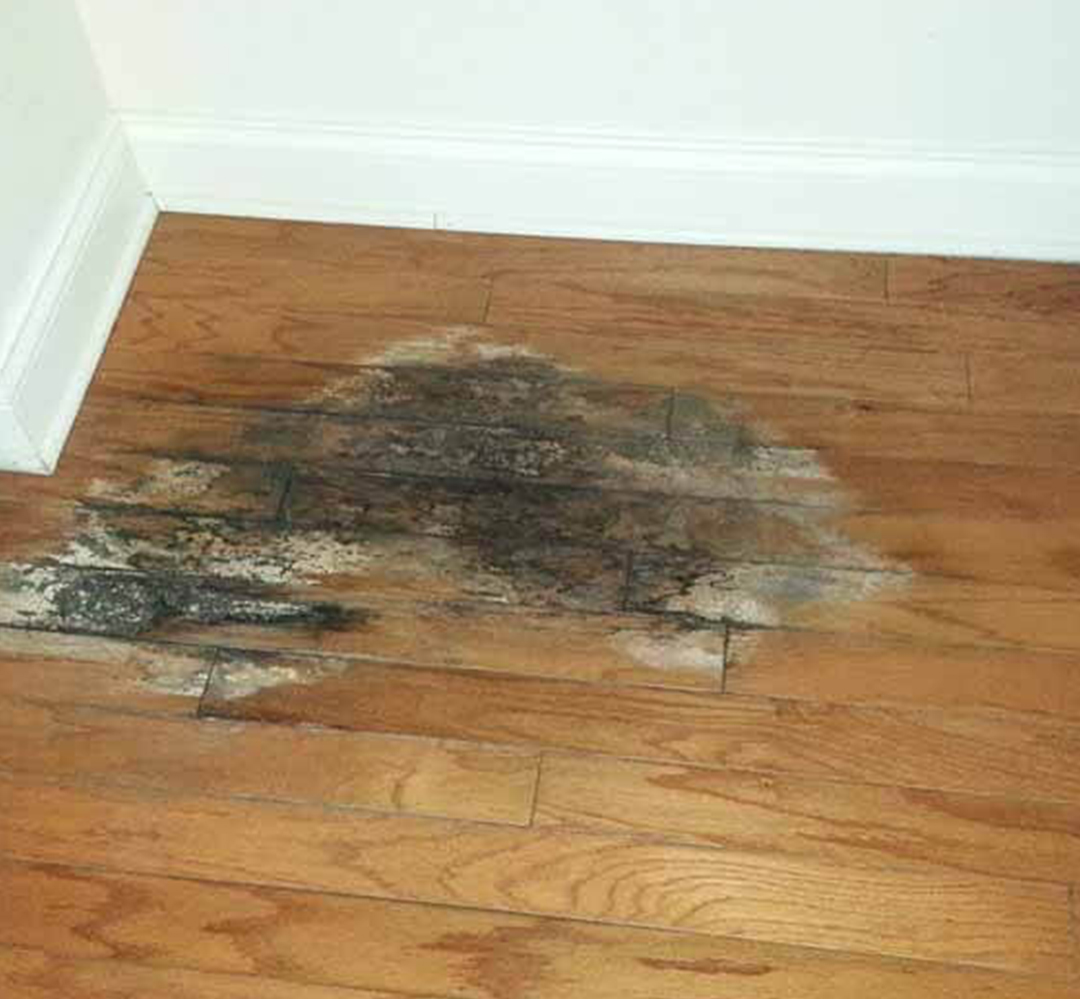 Alpharetta Hardwood Floor Repair